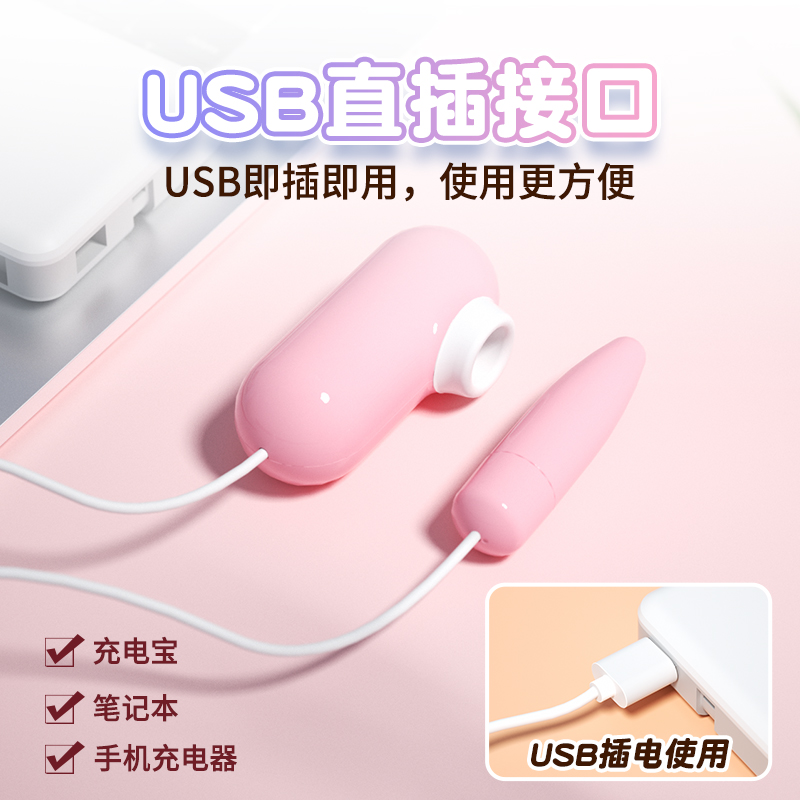 Flirting Egg C: matched two-unit layout and USB direct-power connection in a supplier display.